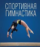 Гимнасты из Северодонецка были лучшими среди юниоров области