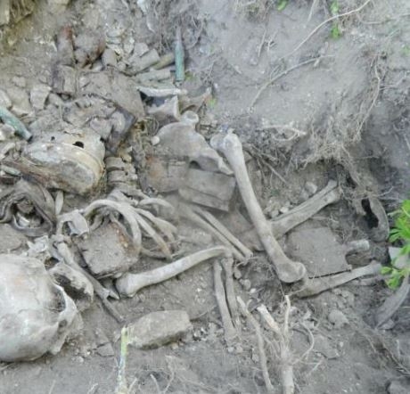 Под Славянском нашли останки советского солдата