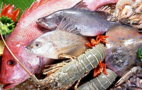 На столах украинцев слишком мало блюд из рыбы – эксперт