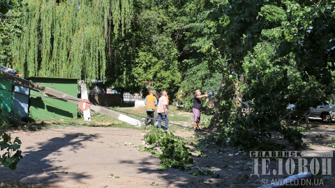 В центре Славянска упало дерево: несколько домов остались без света