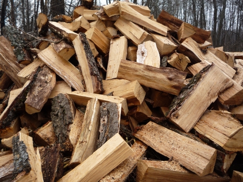 Для жителя Лисичанска поход за дровами оказался смертельным