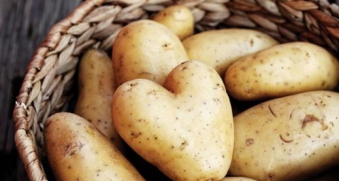 В Украине дорожает картофель – эксперт