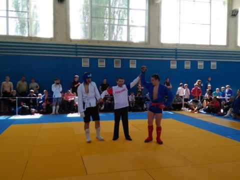 В Славянске прошёл чемпионат по боевому самбо