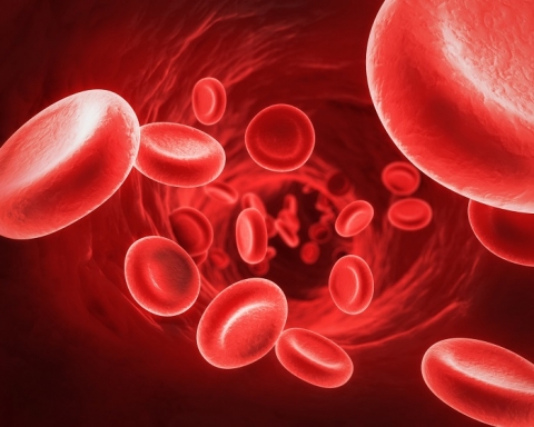 В Украине планируют потратить 6,5 миллиардов гривен на трансформацию системы крови 