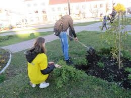 В Новогродовке проводят озеленение улиц