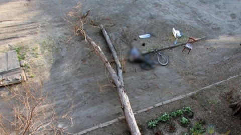На Донетчине из-за спиленного дерева погиб велосипедист 