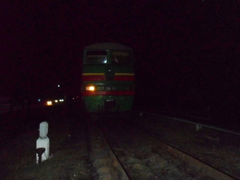 В Доброполье старушка погибла под колесами поезда