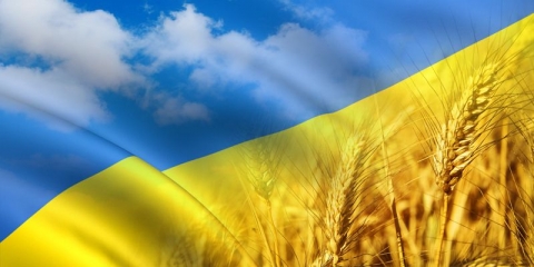 Fitch подтвердил возможный дефолт Украины