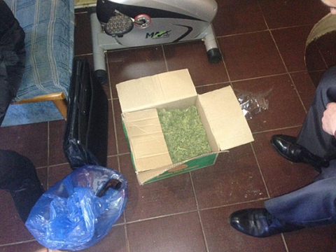 Житель Донетчины хранил дома марихуану и боеприпасы