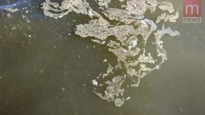 Туристы жалуются на грязное море под Мариуполем