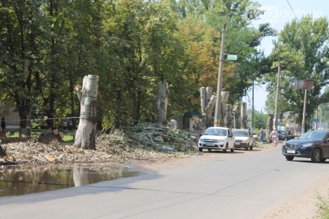 В Славянске коммунальщики не спешат убирать спиленные деревья 