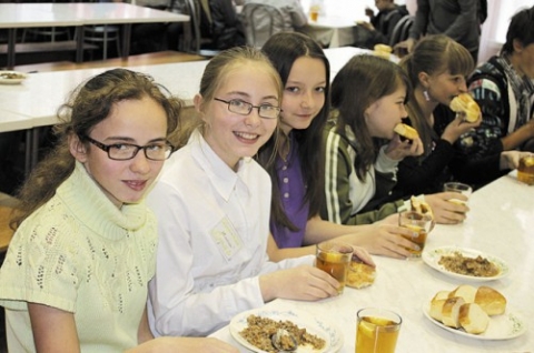 В Доброполье родители хотят ввести бесплатное питание  в школах для детей