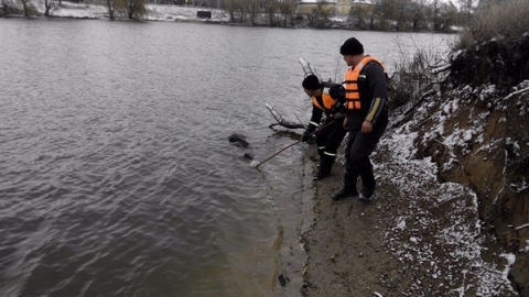 В Добропольском районе из водоема достали тело женщины
