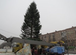 В Мариуполе установили 17-метровую ель 