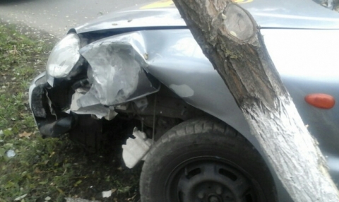 В Мариуполе пьяного таксиста остановило дерево