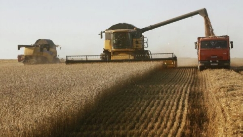Китай отказался покупать украинские зерновые