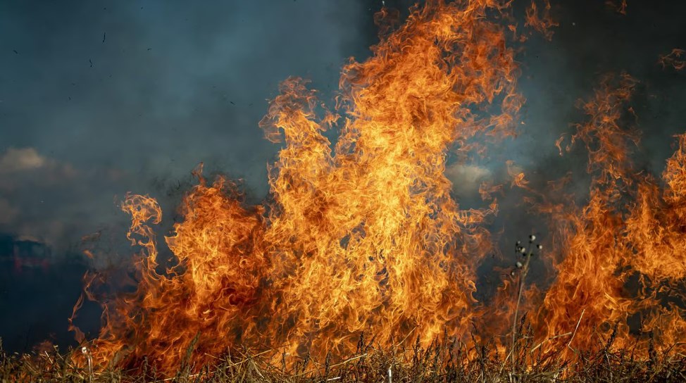 З 5 по 7 серпня на території Донецької області - надзвичайна пожежна небезпека