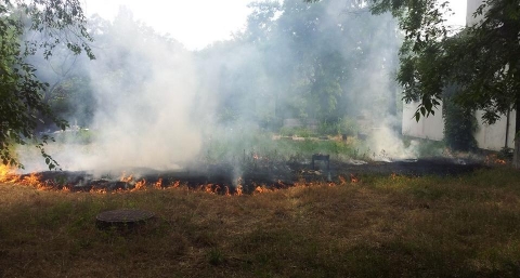В Мариуполе по вине любителей шашлычков произошёл пожар