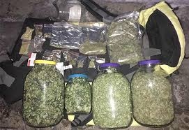 Более 2 кг марихуаны обнаружено в одном из домов Волновахского района 