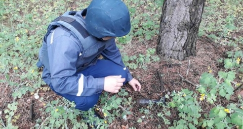 В Лисичанске на берегу пруда нашли гранату времен ВОВ