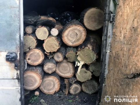 В Донецкой области злоумышленник занимался незаконной вырубкой леса