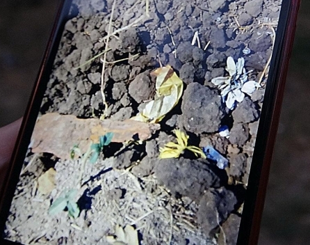 Мариупольские коммунальники завезли грунт с кладбища для клумбы во дворе