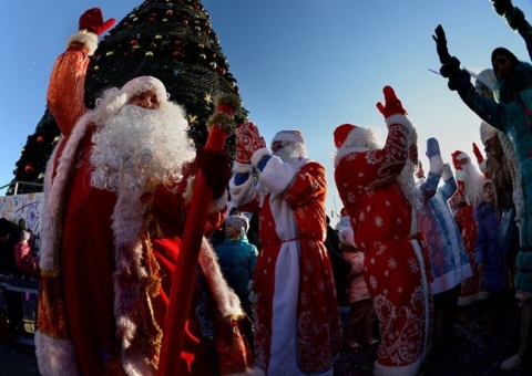 В Краматорске пройдет парад новогодних елочек