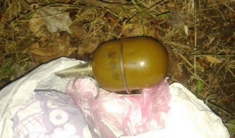 Жительница Мангушского района хранила гранату