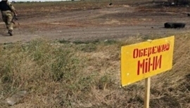 15-летний житель Луганщины подорвался на мине