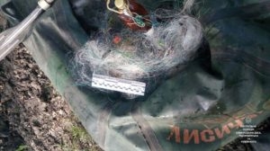 В Лисичанске полиция активно отлавливает браконьеров