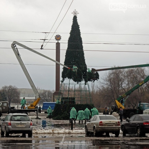 В Северодонецке начали установку главной елки города
