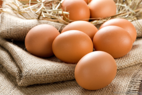 В Украине из-за птичьего гриппа могут подешеветь яйца