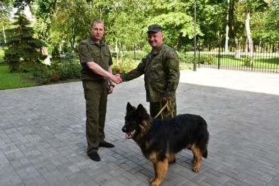 Собаки-полицейские будут патрулировать Мариуполь