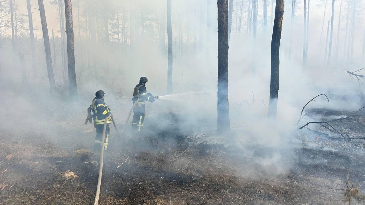 Протягом минулої доби рятувальники ліквідували 17 пожеж на Донеччині