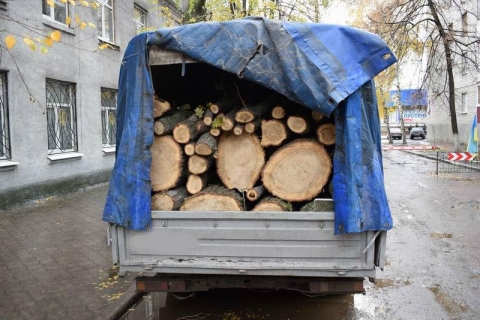 В Славянском районе задержали злоумышленников, которые незаконно пилили деревья