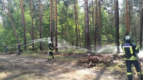 Вчера на Донетчине тушили лесной пожар