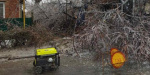 На Донеччині обледенілі дерева руйнують газопостачальні мережі