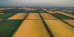 Могут получить помощь через ДАР украинские сельхозпроизводители