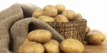  Как сажать картофель с невероятной скоростью (видео)