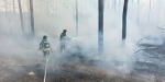 Протягом минулої доби рятувальники ліквідували 17 пожеж на Донеччині