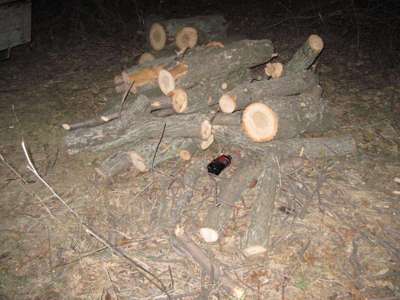 Ранее судимый краматорчанин рубил деревья возле Дружковки