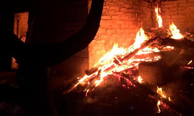 Пожар в садовом обществе в Краматорске спасатели ликвидировали оперативно