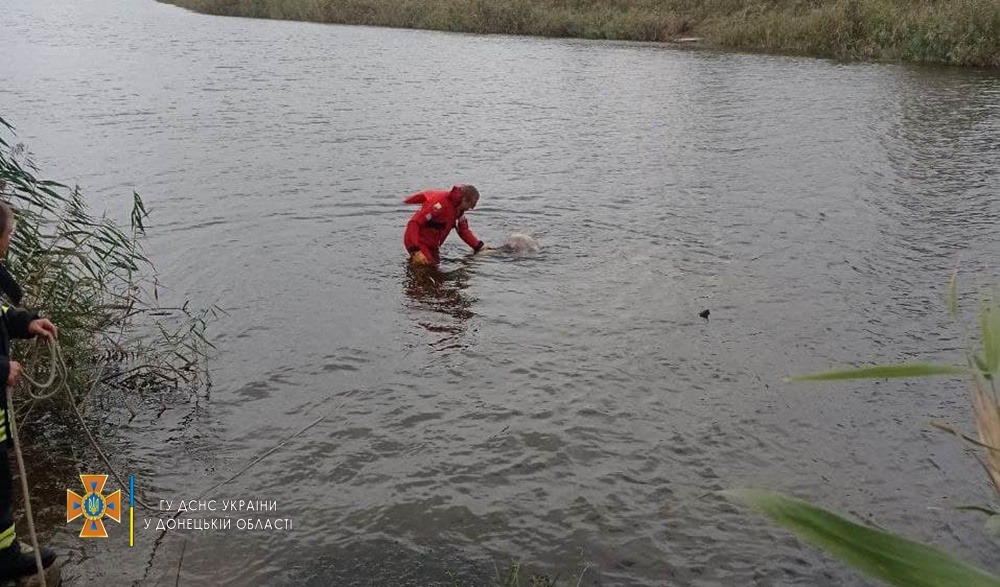 В Славянске из реки достали тело мужчины