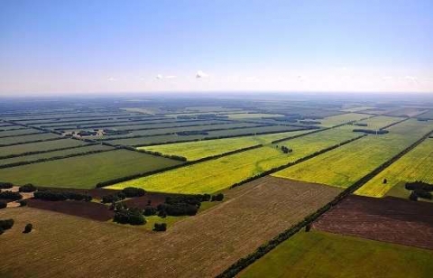 Прокуратура Донецкой области вернула государству сельскохозяйственные земли