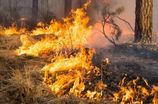 Горячие выходные на полях Донецкой области