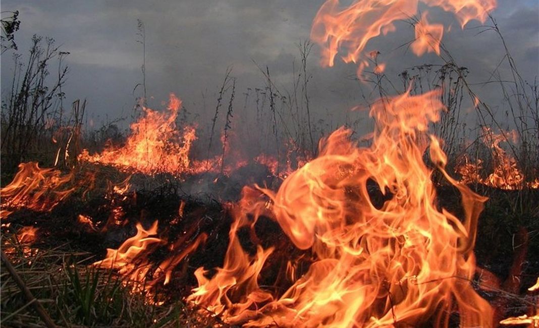 Спасатели несколько часов боролись с возгоранием между Константиновкой и Дружковкой