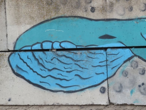 В Мариуполе появился синий кит