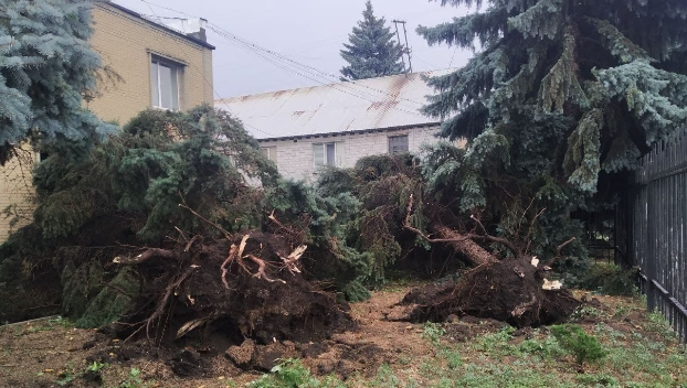 В ГСЧС рассказали о последствиях непогоды на севере Донецкой области
