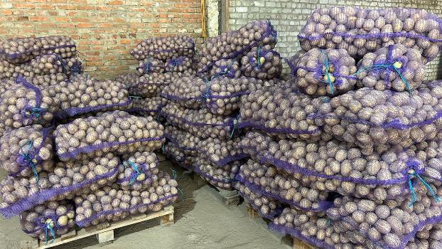 П’ятирічний рекорд побили ціни на картоплю 