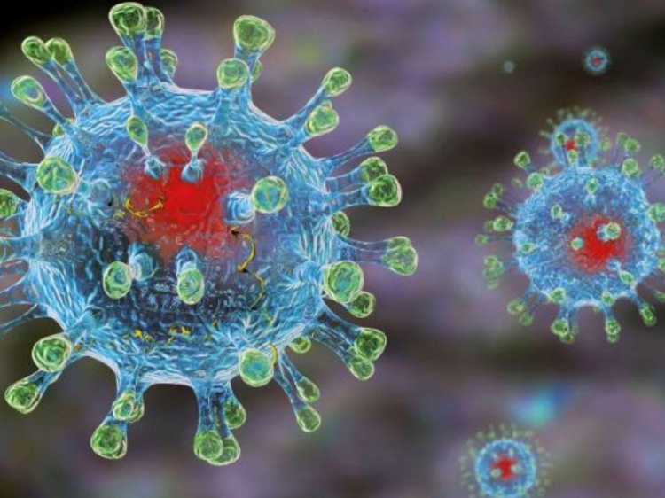 В ВОЗ считают, что коронавирус в 80% случаев не опасен